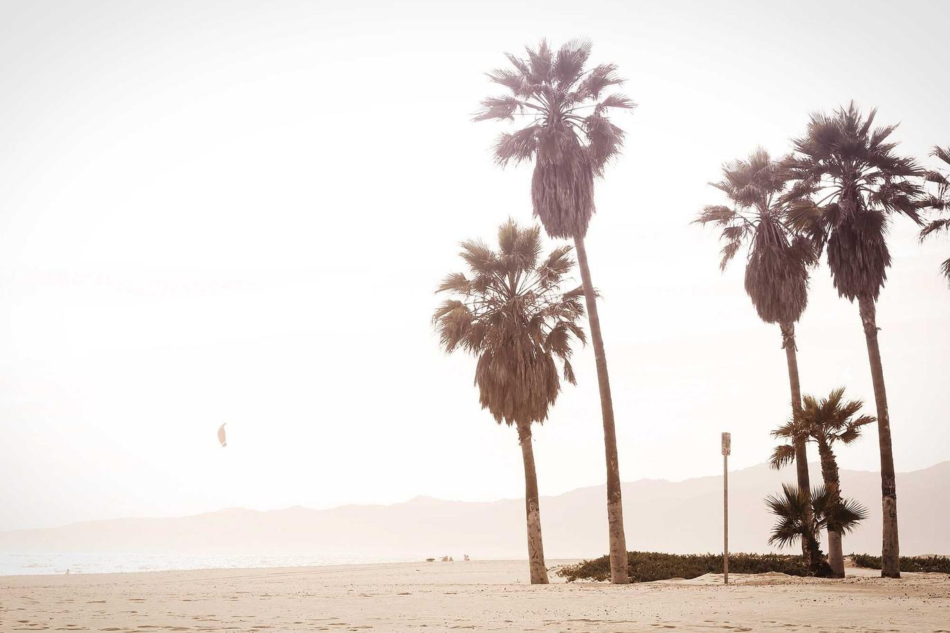 Quia quo ut libero iure voluptatem fugit consectetur ut et dolorum